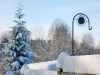 weathervane